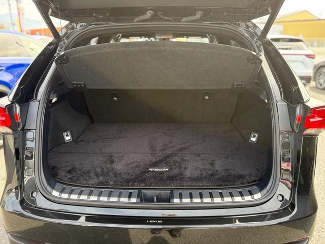 TOYOTA LEXUS NX300 2018