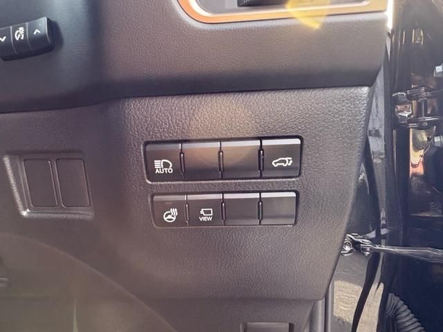 TOYOTA LEXUS NX300 2018