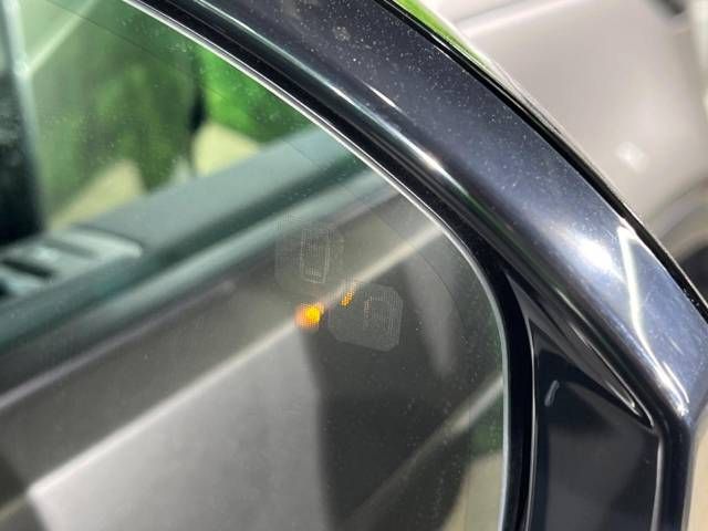 ROVER ROVER DISCOVERY 2024