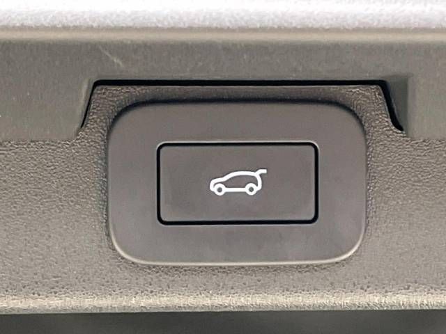 ROVER ROVER DISCOVERY 2024