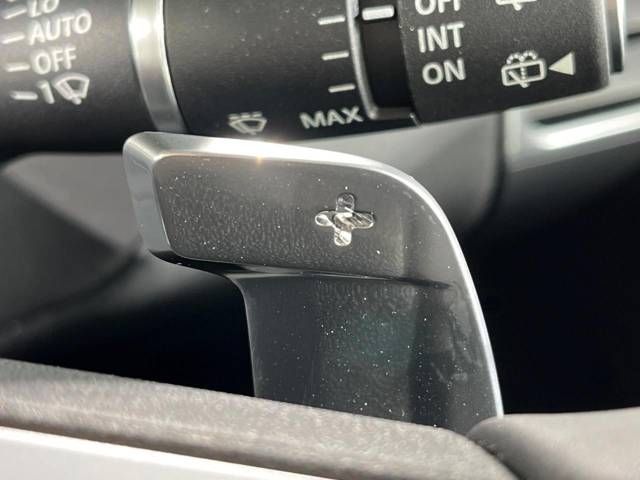 ROVER ROVER DISCOVERY 2024