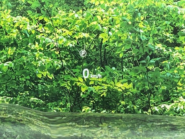 JAGUAR JAGUAR F-PACE 2021