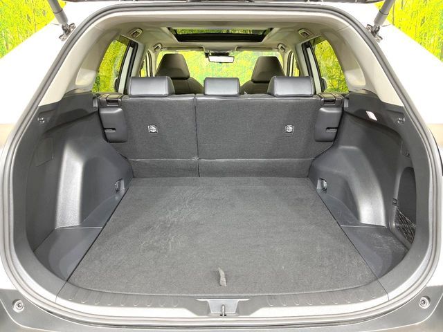 TOYOTA RAV4 4WD 2024