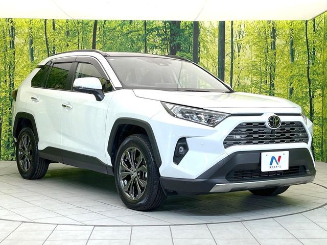 TOYOTA RAV4 4WD 2024
