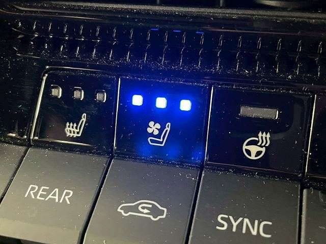 TOYOTA LANDCRUISER 250 2024