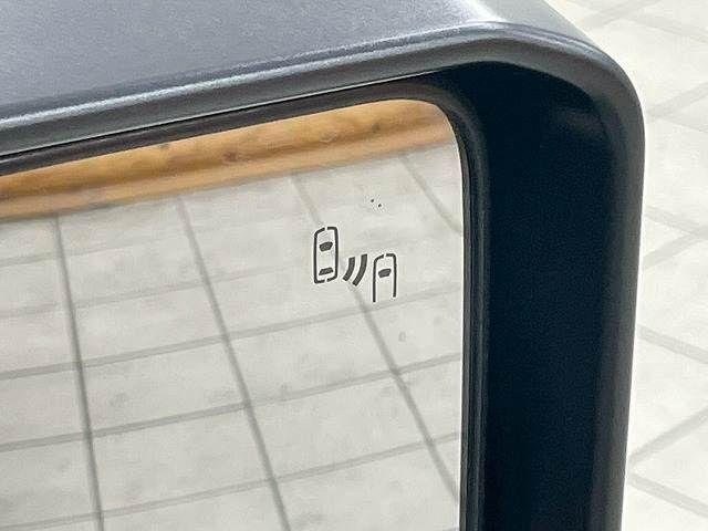 TOYOTA LANDCRUISER 250 2024