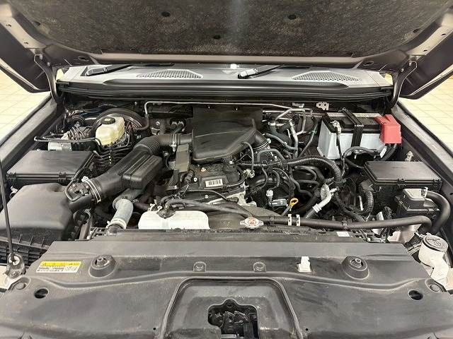 TOYOTA LANDCRUISER 250 2024