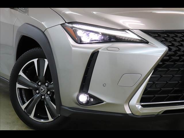 TOYOTA LEXUS UX250h AWD 2019