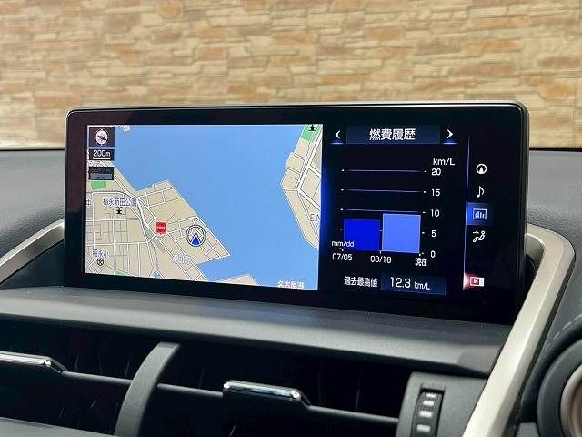 TOYOTA LEXUS NX300 2020