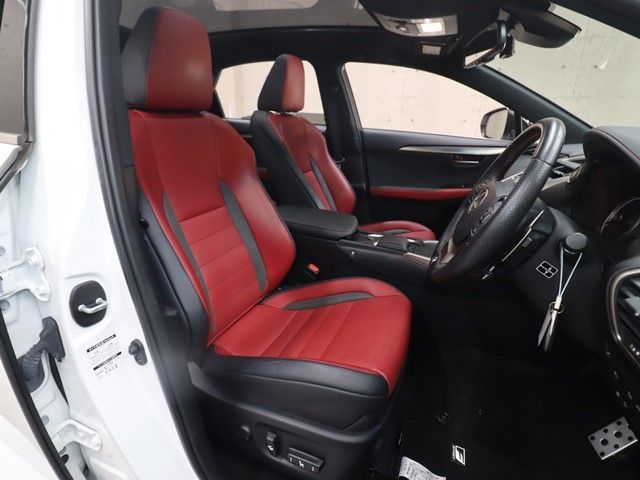 TOYOTA LEXUS NX300 2018