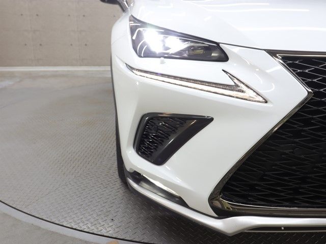 TOYOTA LEXUS NX300 2018