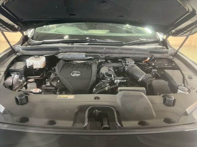 TOYOTA LEXUS RX500h 2023