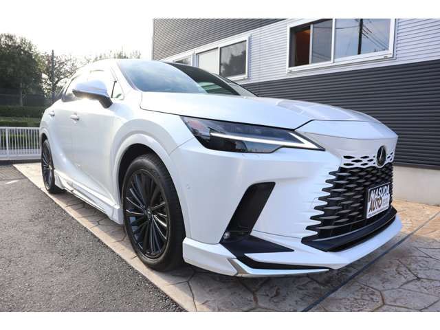 TOYOTA LEXUS RX450h+ 2024