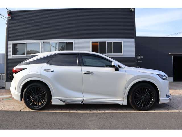 TOYOTA LEXUS RX450h+ 2024