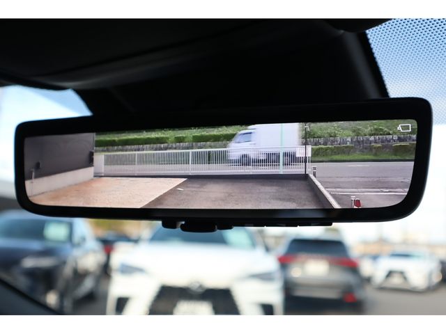 TOYOTA LEXUS RX450h+ 2024