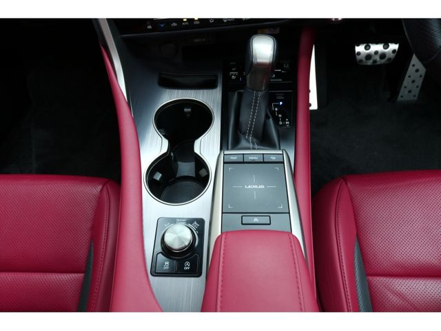 TOYOTA LEXUS RX300 2019