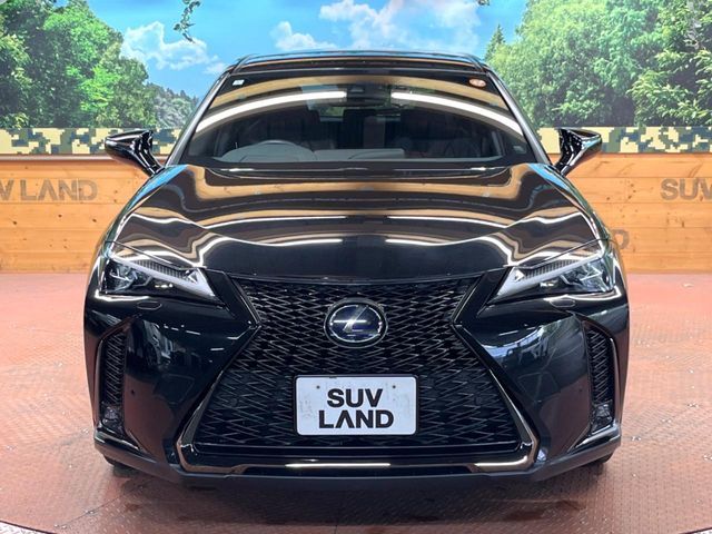 TOYOTA LEXUS UX250h 2019