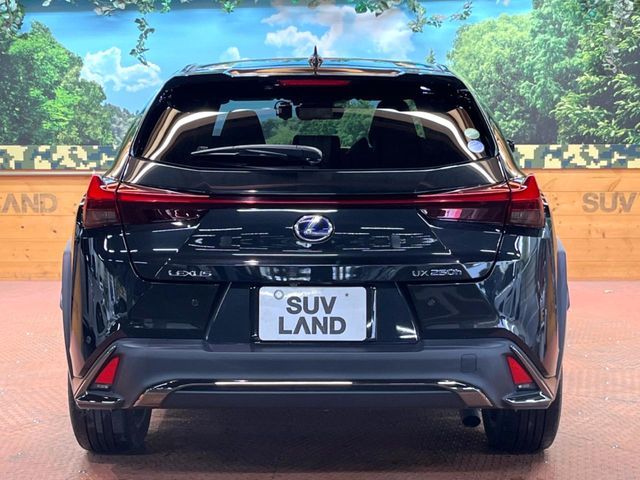 TOYOTA LEXUS UX250h 2019