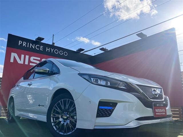 NISSAN LEAF 2020