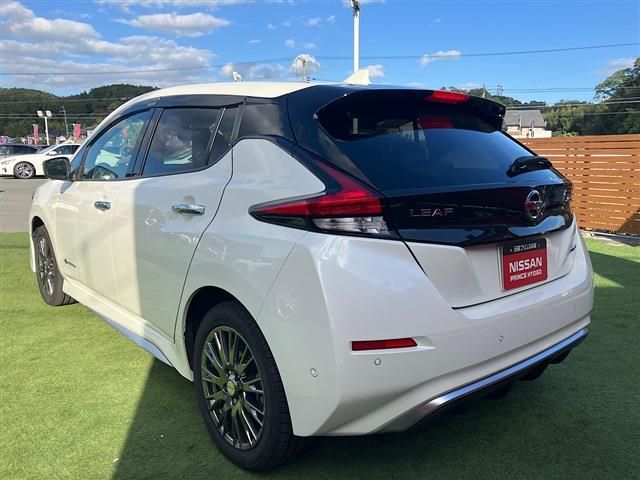 NISSAN LEAF 2020