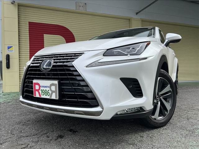 TOYOTA LEXUS NX300h 2018
