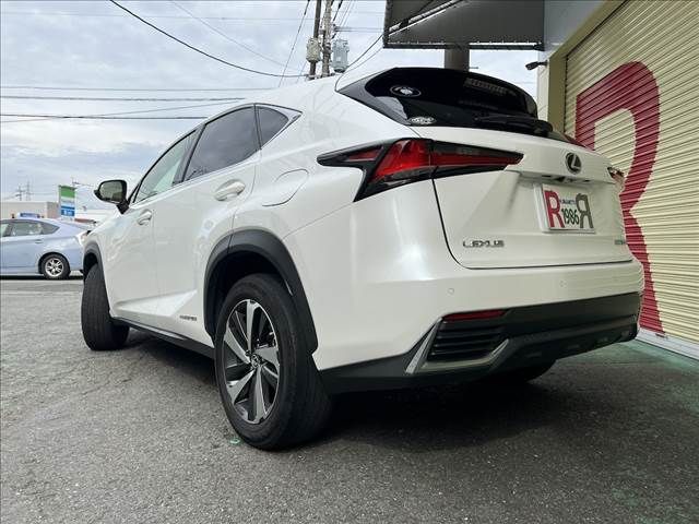 TOYOTA LEXUS NX300h 2018