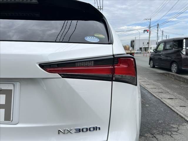 TOYOTA LEXUS NX300h 2018