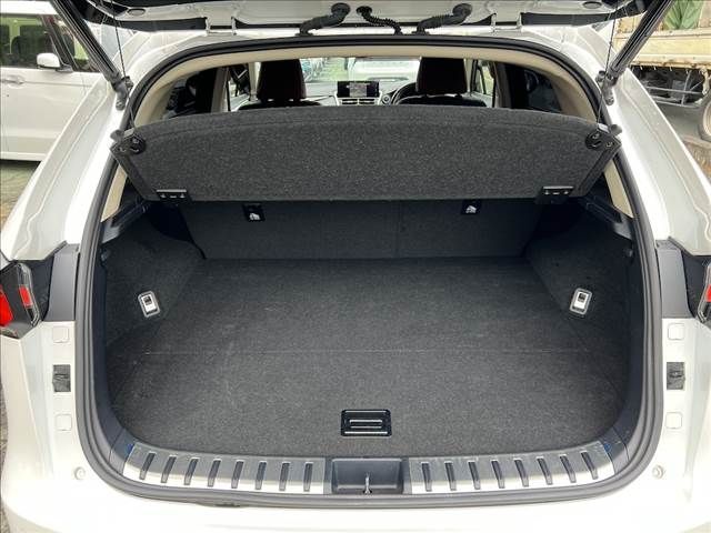 TOYOTA LEXUS NX300h 2018