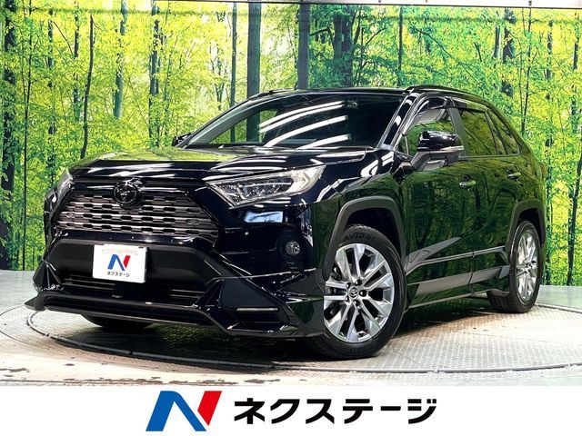 TOYOTA RAV4 4WD 2019