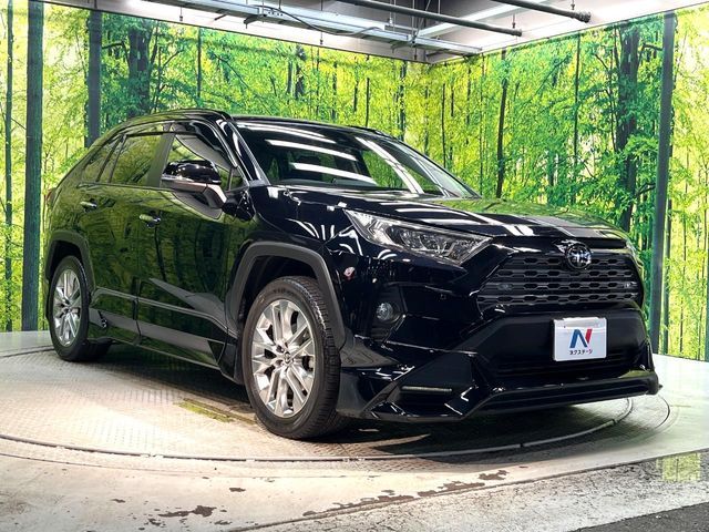 TOYOTA RAV4 4WD 2019