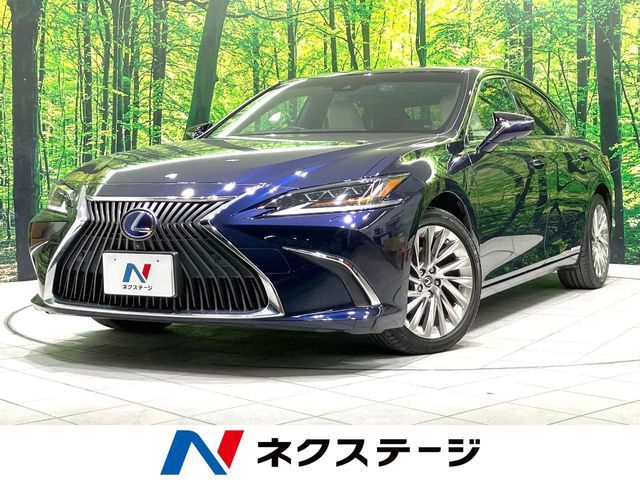 TOYOTA LEXUS ES300h 2019