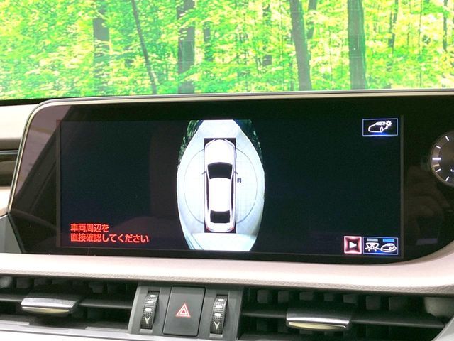 TOYOTA LEXUS ES300h 2019