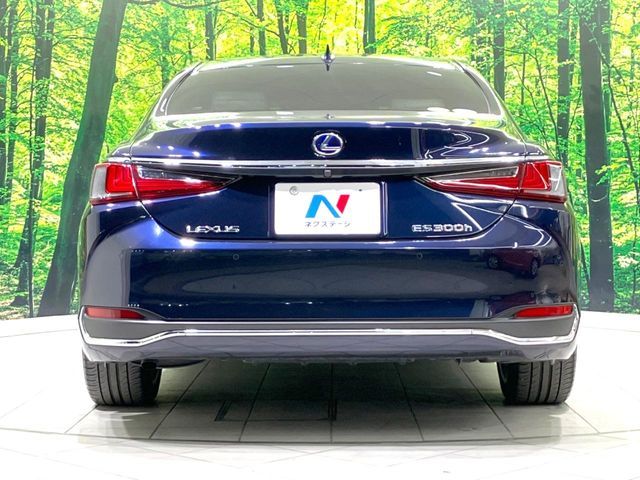 TOYOTA LEXUS ES300h 2019