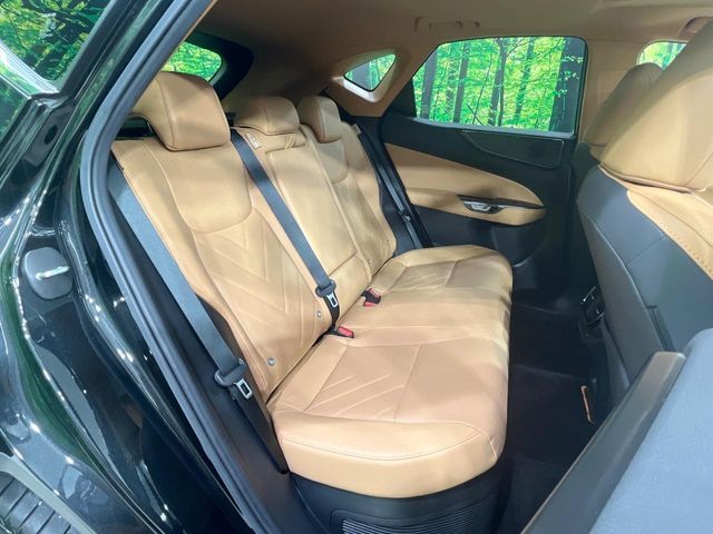 TOYOTA LEXUS NX350h 2022