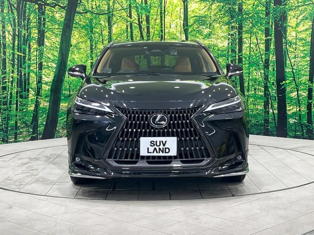 TOYOTA LEXUS NX350h 2022