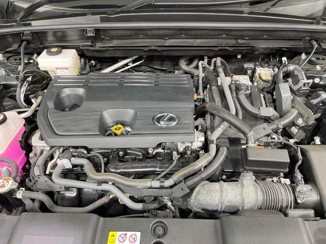 TOYOTA LEXUS NX350h 2022