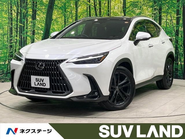 TOYOTA LEXUS NX350h 2023