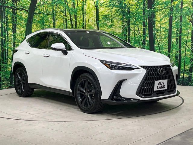 TOYOTA LEXUS NX350h 2023