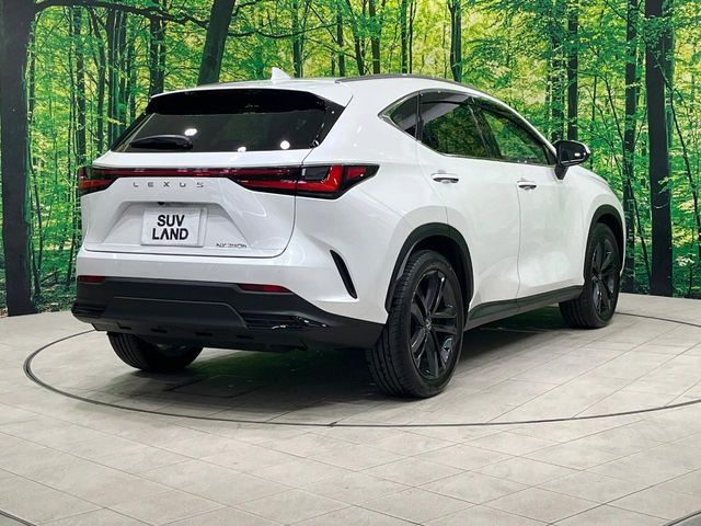TOYOTA LEXUS NX350h 2023