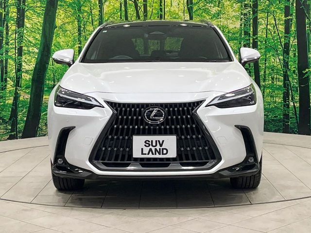 TOYOTA LEXUS NX350h 2023