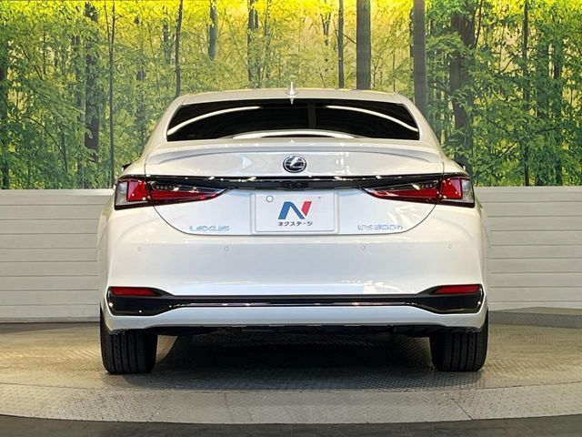 TOYOTA LEXUS ES300h 2019