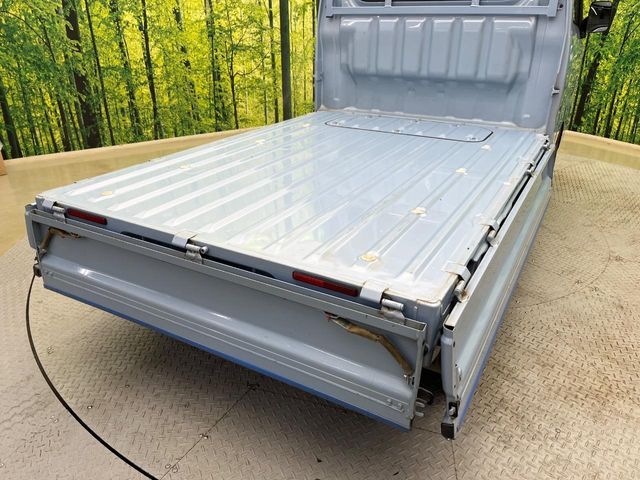 DAIHATSU HIJET truck 4WD 2020