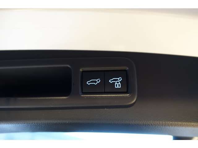 TOYOTA LEXUS RX450h+ 2023