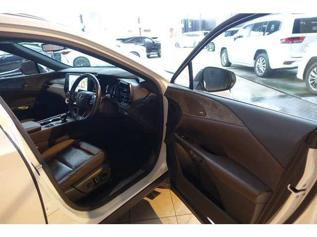 TOYOTA LEXUS RX450h+ 2023