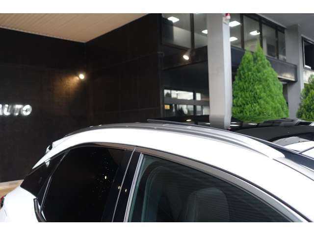 TOYOTA LEXUS RX450h+ 2023