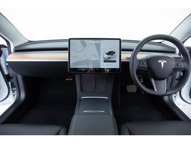TESLA TESLA MODEL 3 2022