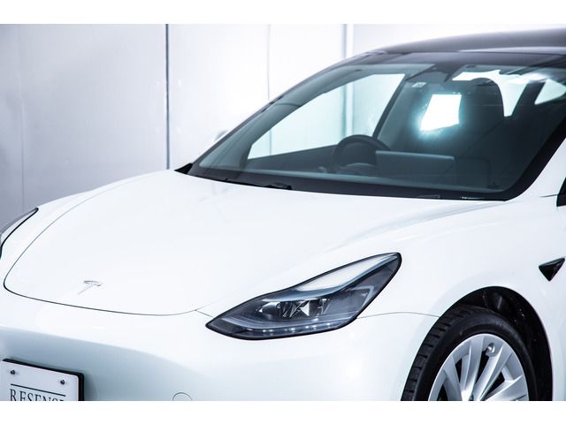 TESLA TESLA MODEL 3 2022
