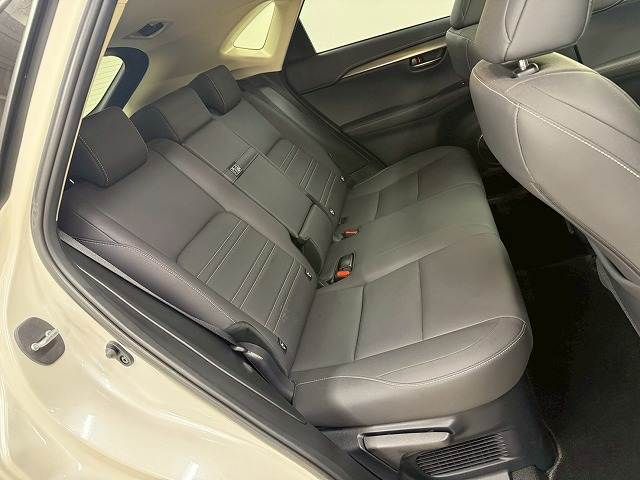 TOYOTA LEXUS NX300 2018