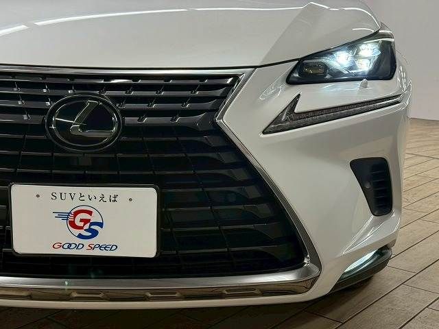 TOYOTA LEXUS NX300 2018
