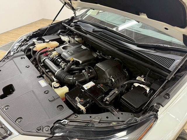 TOYOTA LEXUS NX300 2018